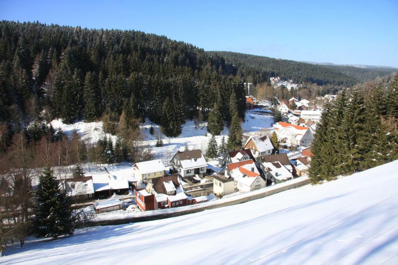 Villa Kurpark Domizil Altenau  Exterior foto
