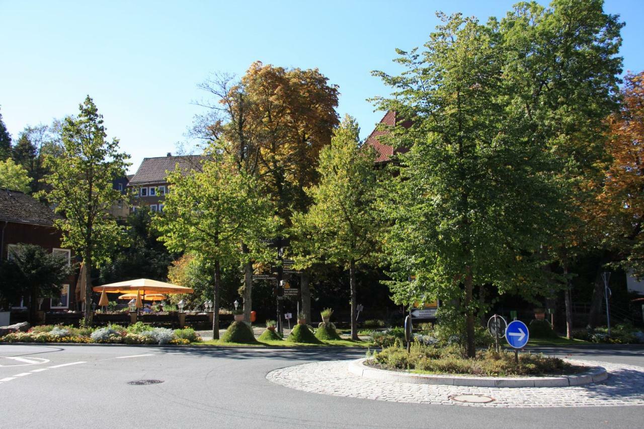 Villa Kurpark Domizil Altenau  Exterior foto